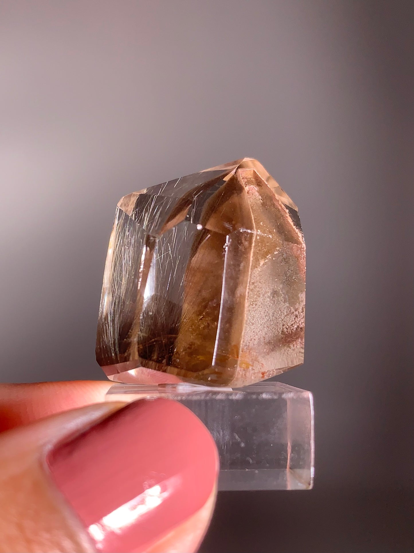 Rare Dark Silver Brookite Rutile in Brown Garden Quartz Crystal from Brazil