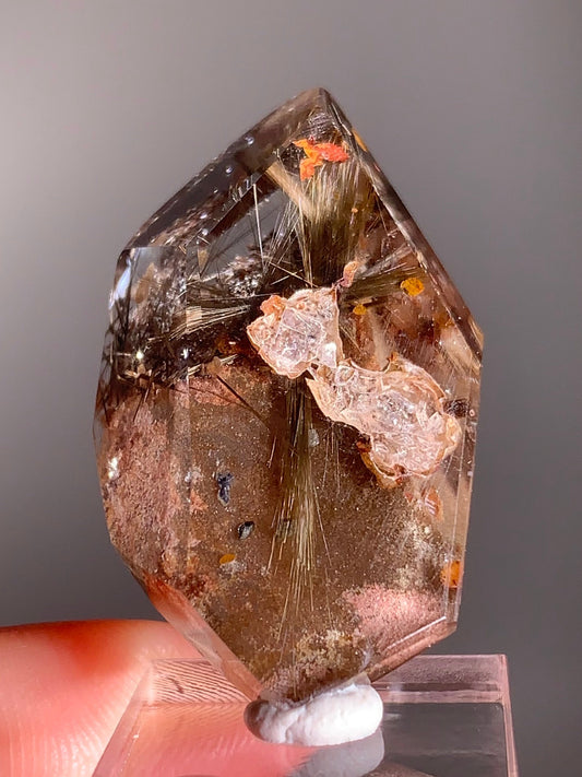 Rare Dark Silver Brookite Rutile in Brown Garden Quartz Crystal from Brazil