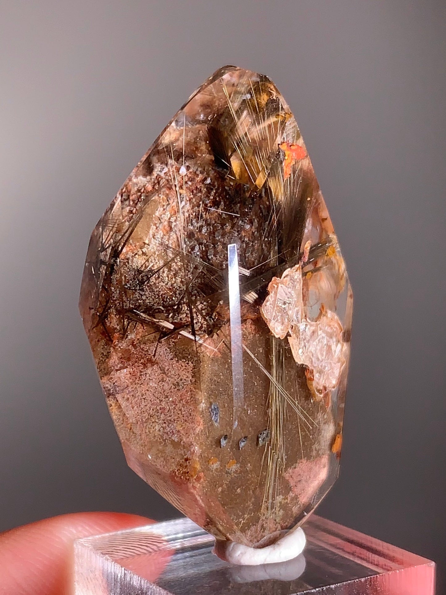 Rare Dark Silver Brookite Rutile in Brown Garden Quartz Crystal from Brazil