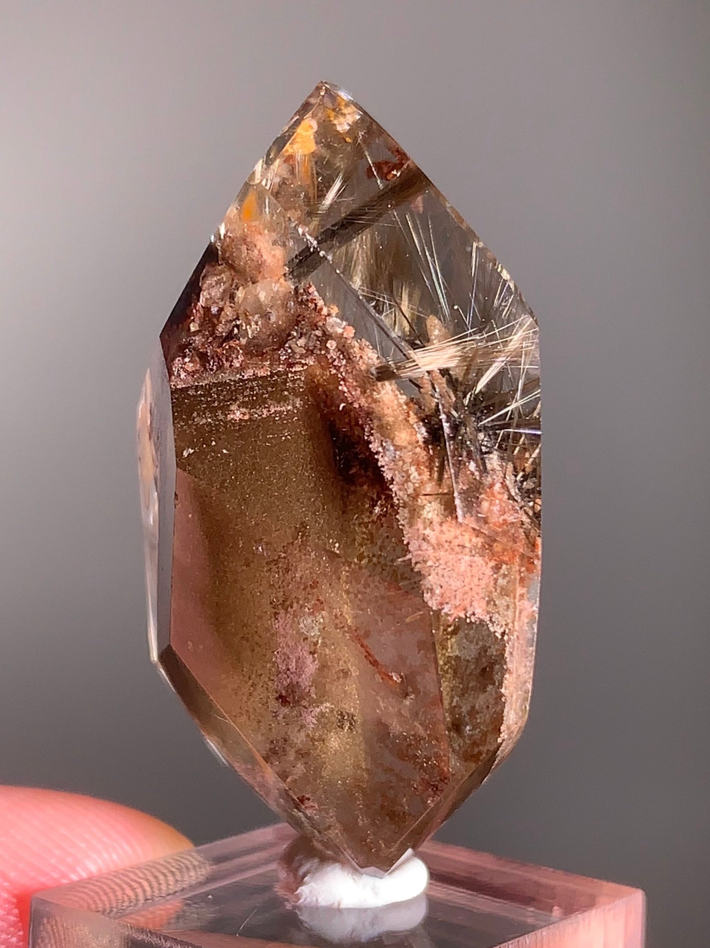 Rare Dark Silver Brookite Rutile in Brown Garden Quartz Crystal from Brazil