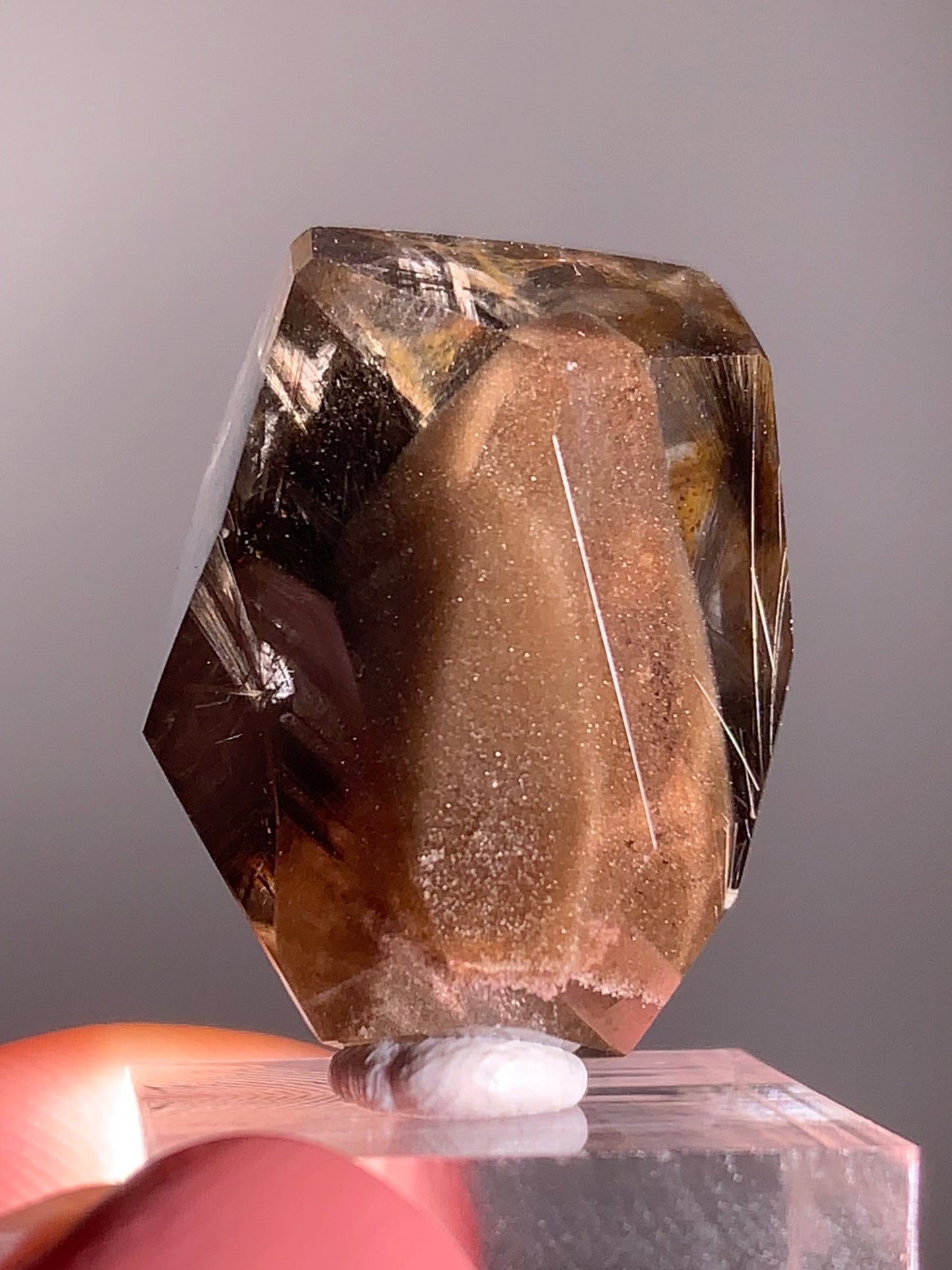 Rare Dark Silver Brookite Rutile in Brown Garden Quartz Crystal from Brazil