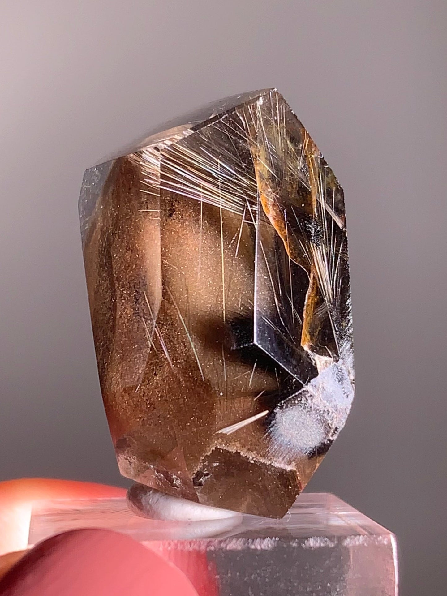 Rare Dark Silver Brookite Rutile in Brown Garden Quartz Crystal from Brazil