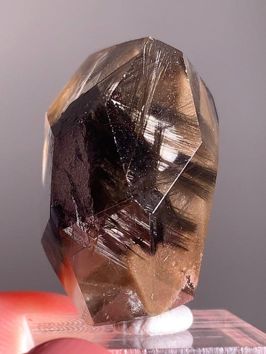 Rare Dark Silver Brookite Rutile in Brown Garden Quartz Crystal from Brazil