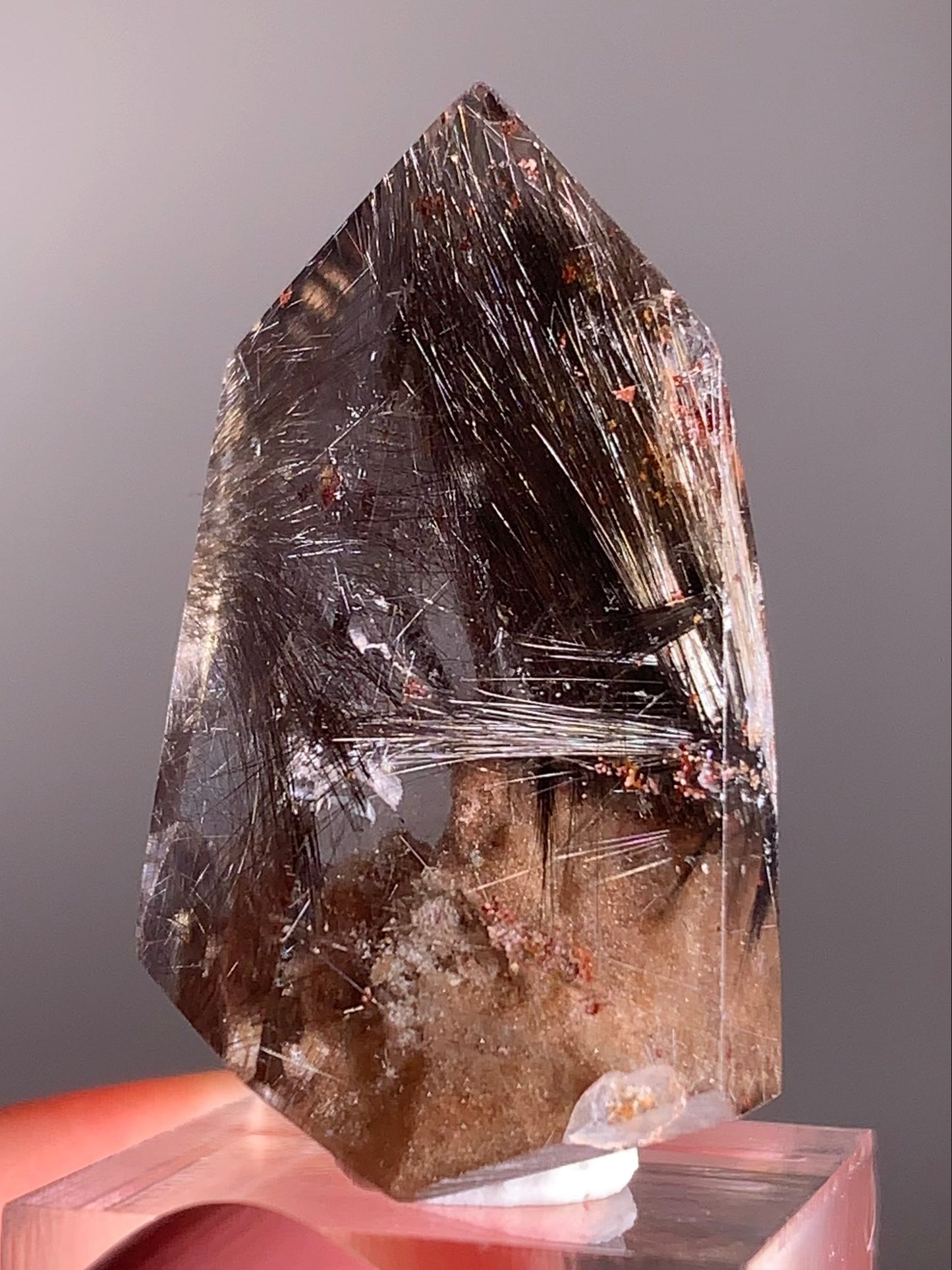 Rare Dark Silver Brookite Rutile in Brown Garden Quartz Crystal from Brazil