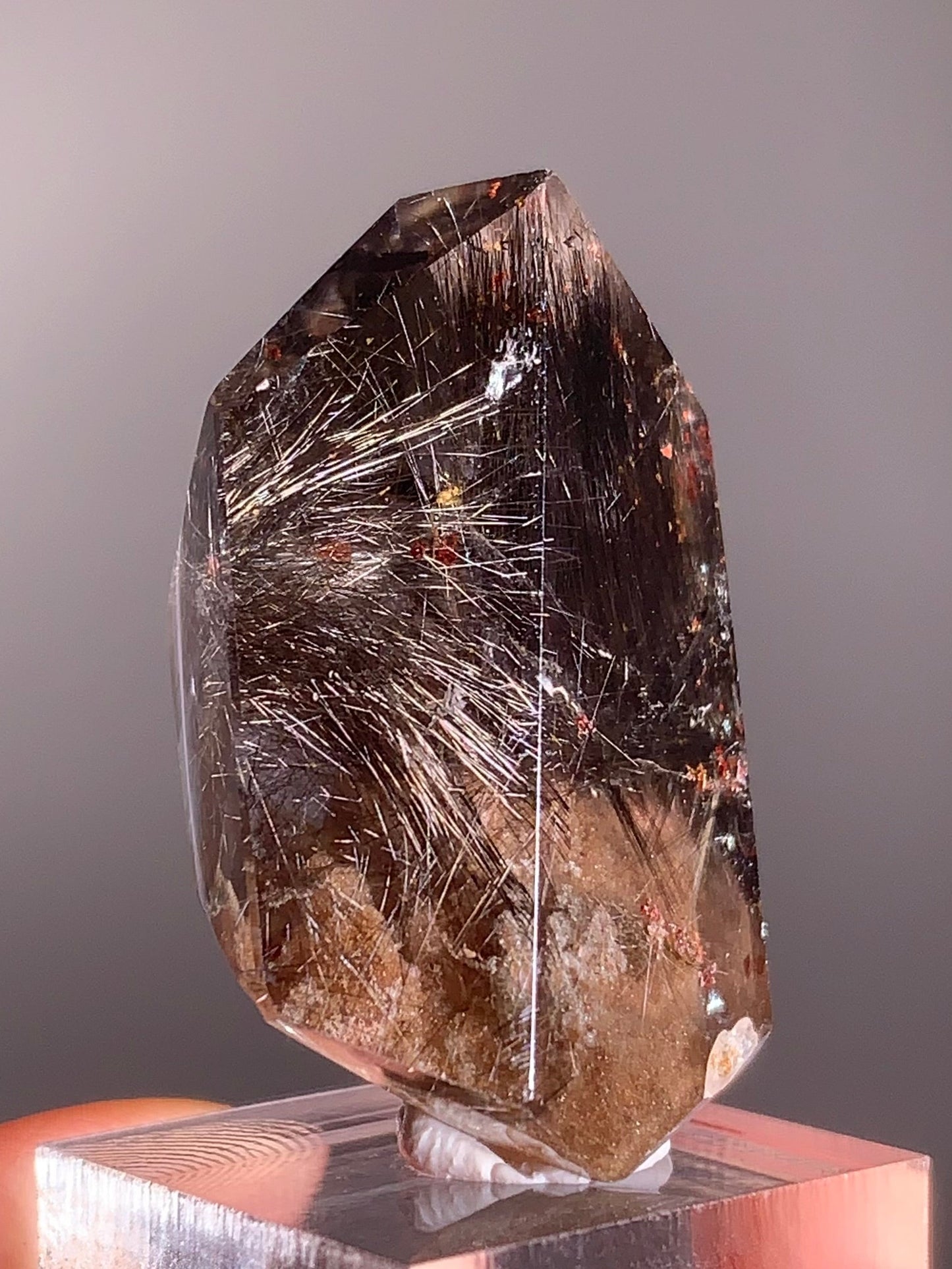 Rare Dark Silver Brookite Rutile in Brown Garden Quartz Crystal from Brazil