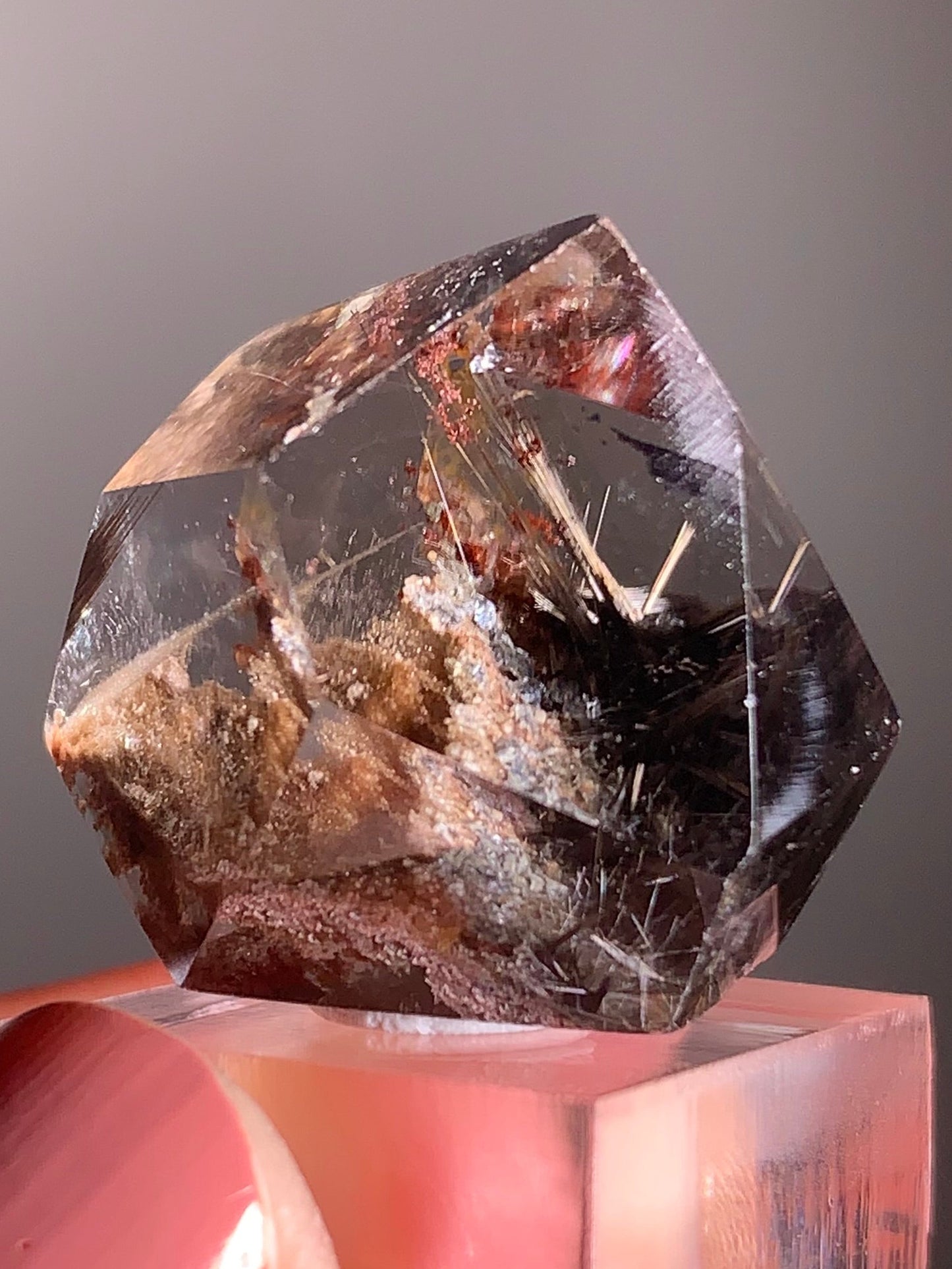 Rare Dark Silver Brookite Rutile in Brown Garden Quartz Crystal from Brazil