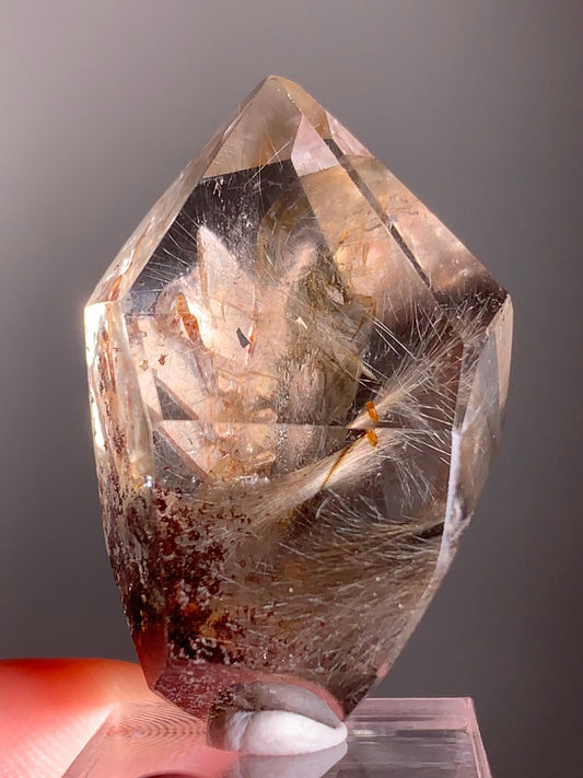 Rare Dark Silver Brookite Rutile in Brown Garden Quartz Crystal from Brazil