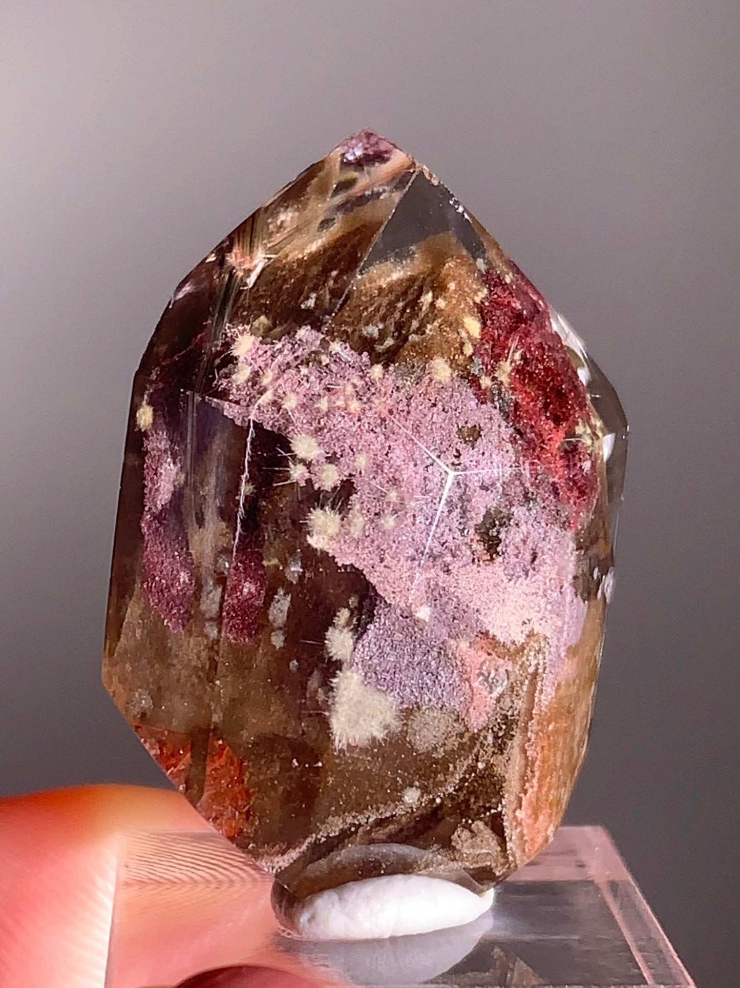 Rare Dark Silver Brookite & Gold Starburst Rutile in Brown Garden Quartz Crystal from Brazil