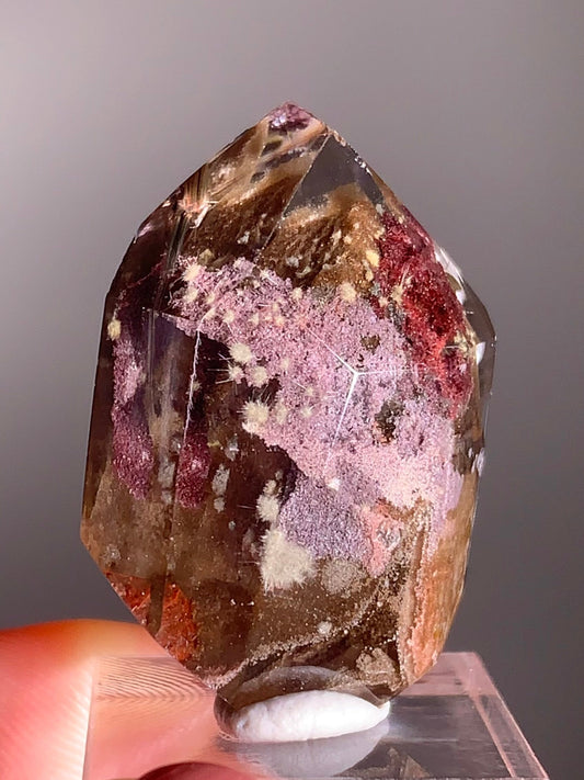Rare Dark Silver Brookite & Gold Starburst Rutile in Brown Garden Quartz Crystal from Brazil