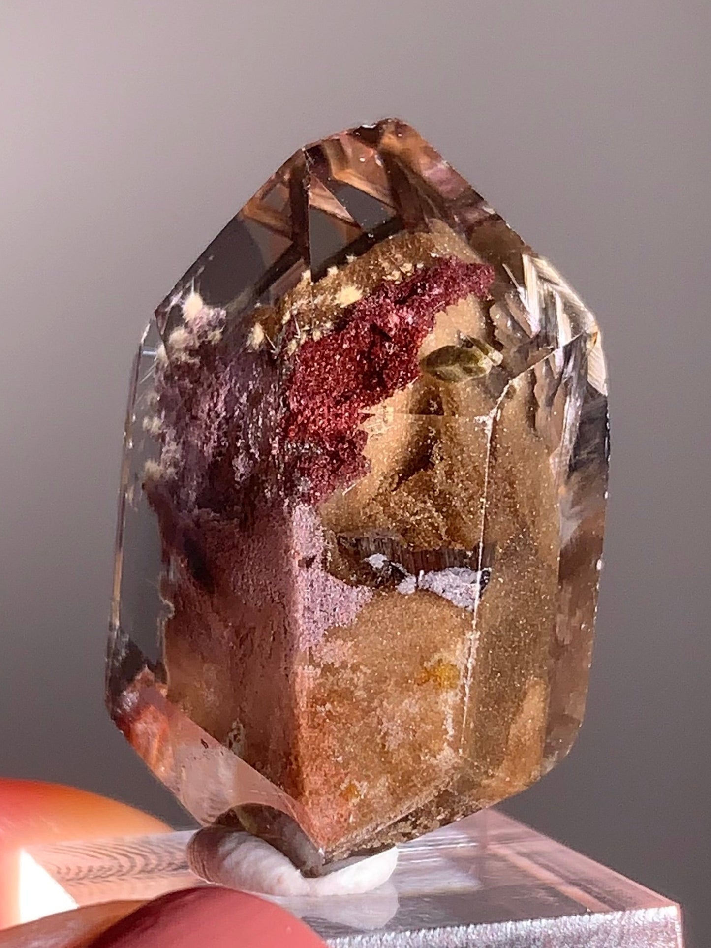 Rare Dark Silver Brookite & Gold Starburst Rutile in Brown Garden Quartz Crystal from Brazil