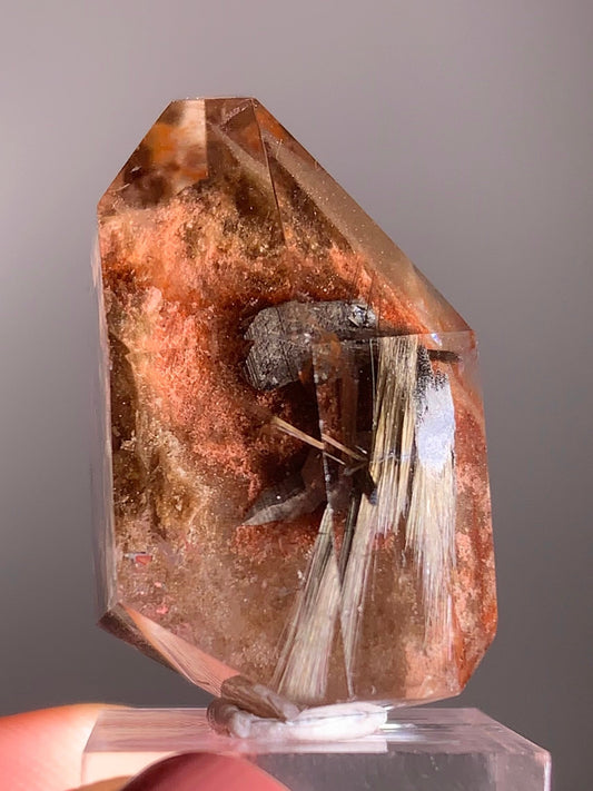 Rare Dark Silver Brookite Rutile in Brown Garden Quartz Crystal from Brazil