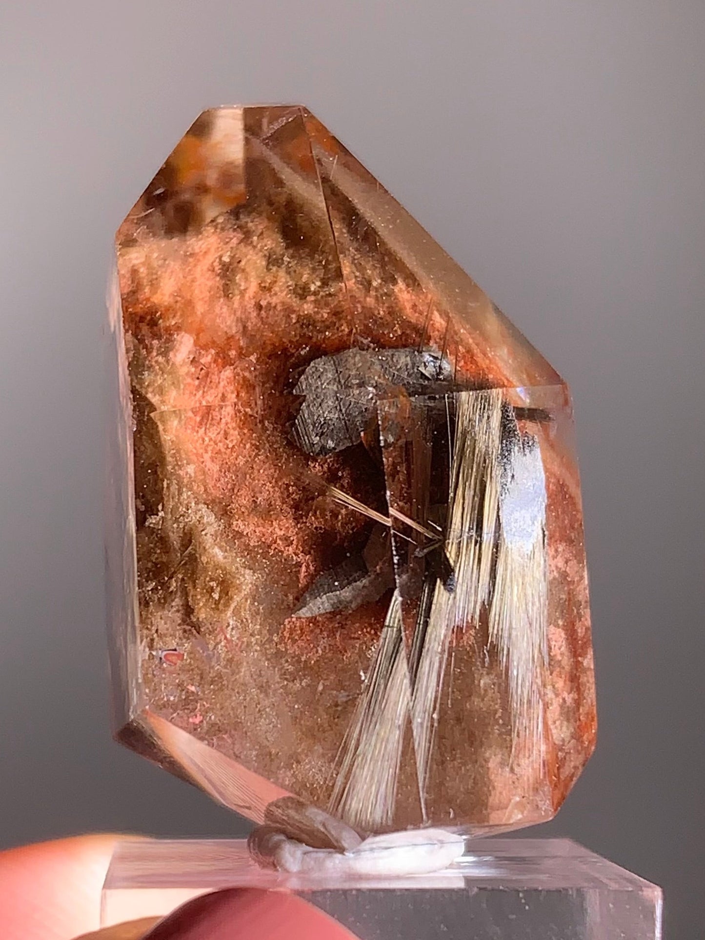 Rare Dark Silver Brookite Rutile in Brown Garden Quartz Crystal from Brazil