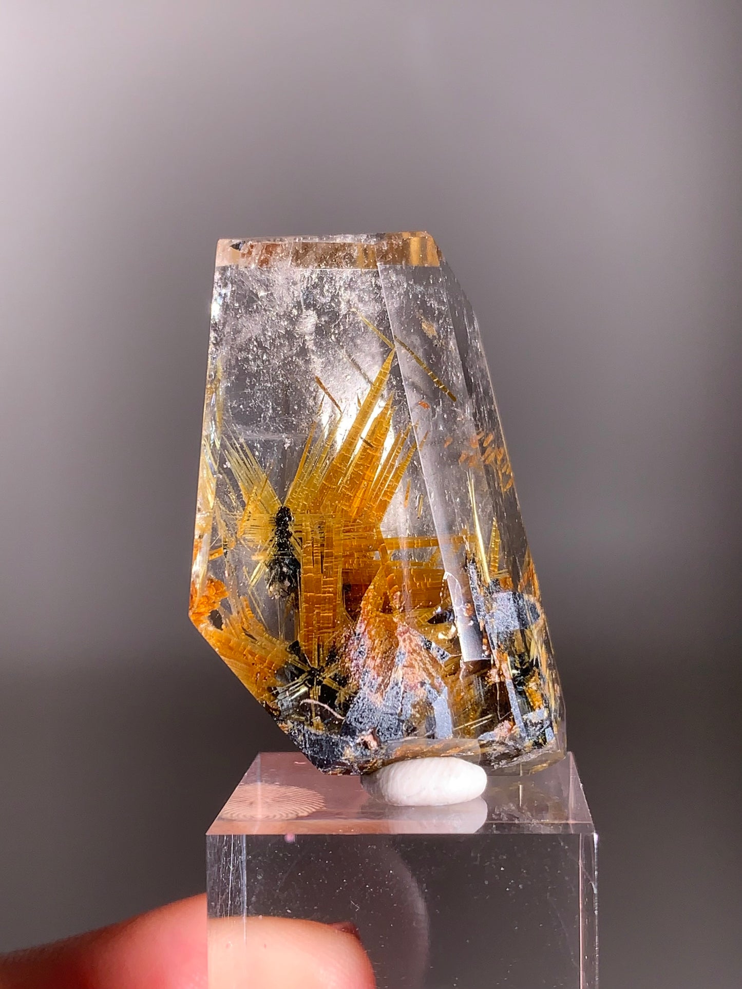 Novo Horizonte Rutile on Hematite Polished Freeform | From Brazil