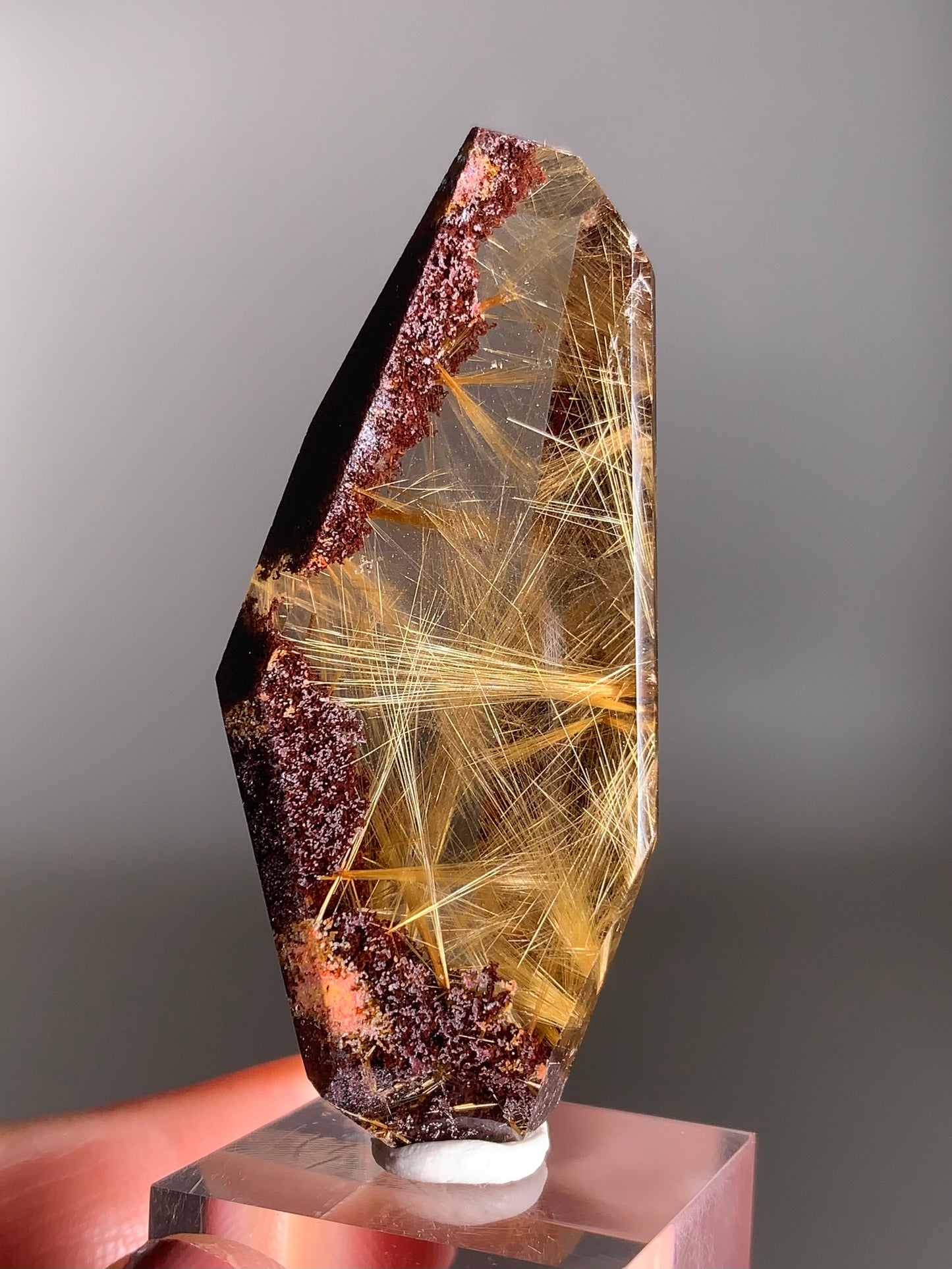 High-Quality Gold Rutile in Maroon Garden Quartz Freeform | Rare Collector’s Crystal from Brazil