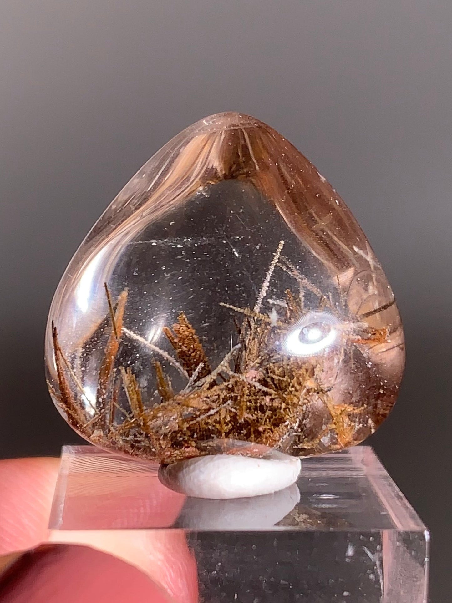 Rare Lattice Gold Rutile with Garden Quartz Polished Freeform From Brazil