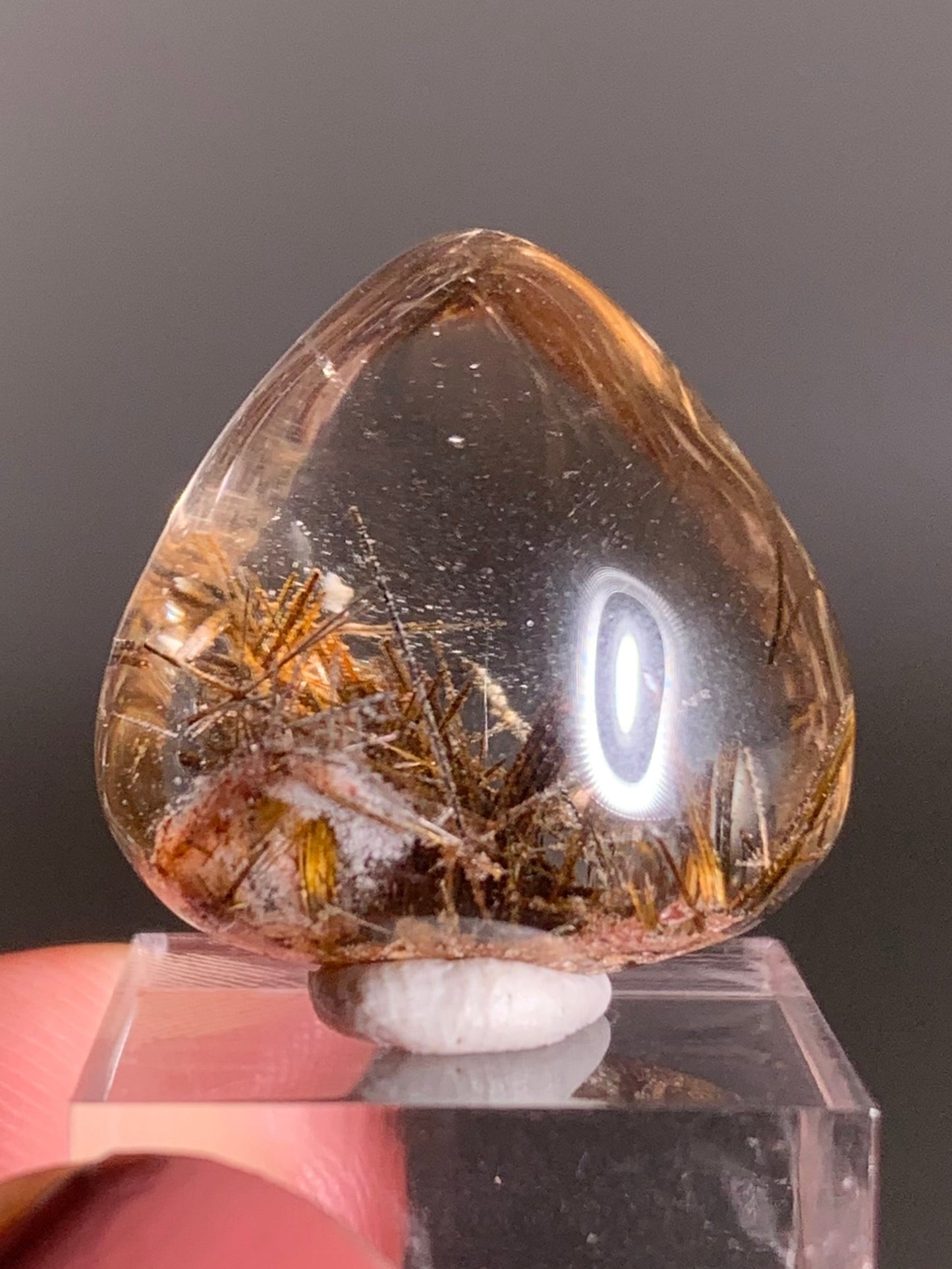 Rare Lattice Gold Rutile with Garden Quartz Polished Freeform From Brazil