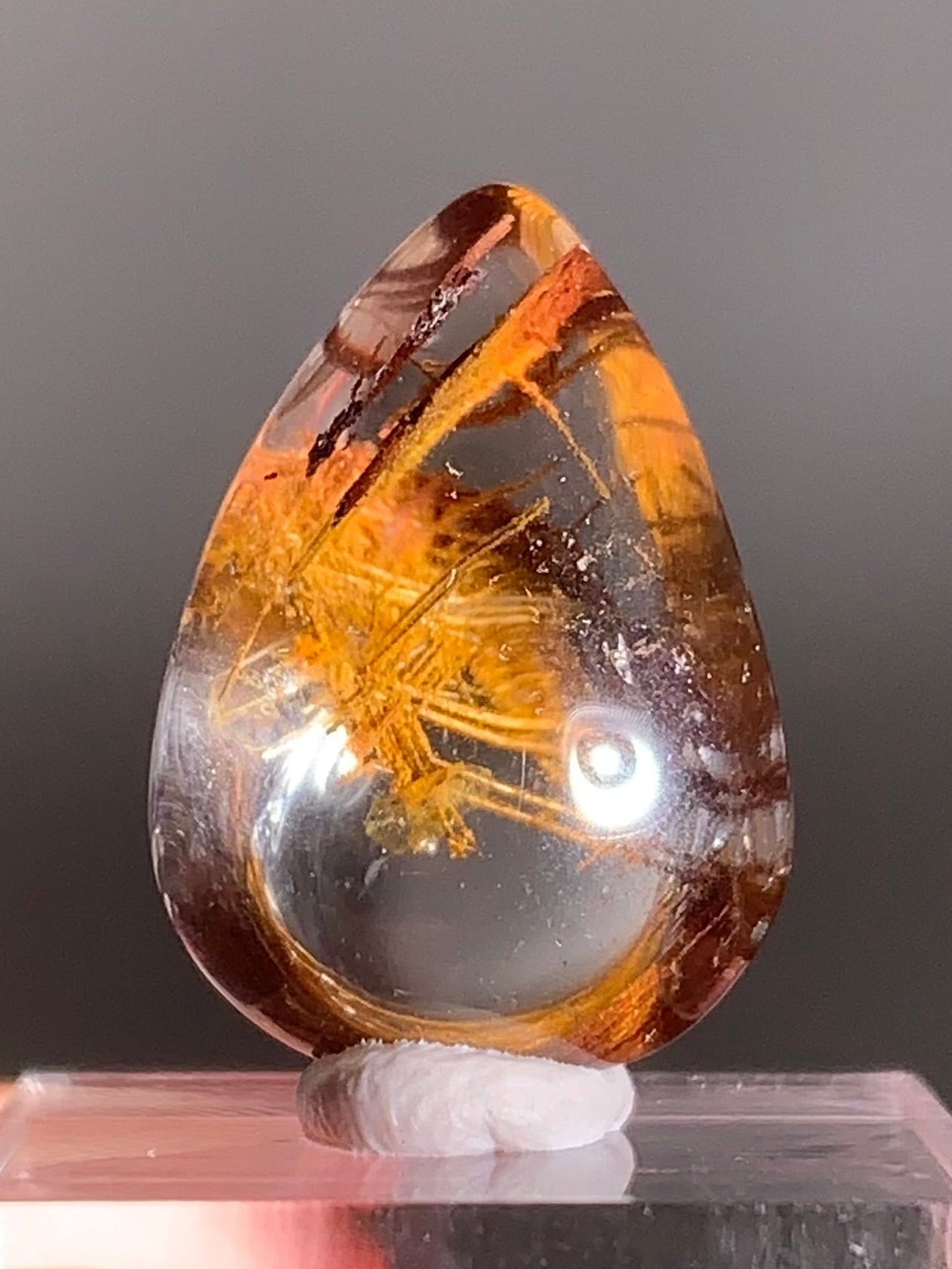 Rare Lattice Gold Rutile Coated with Garden in Clear Quartz Polished Freeform From Brazil