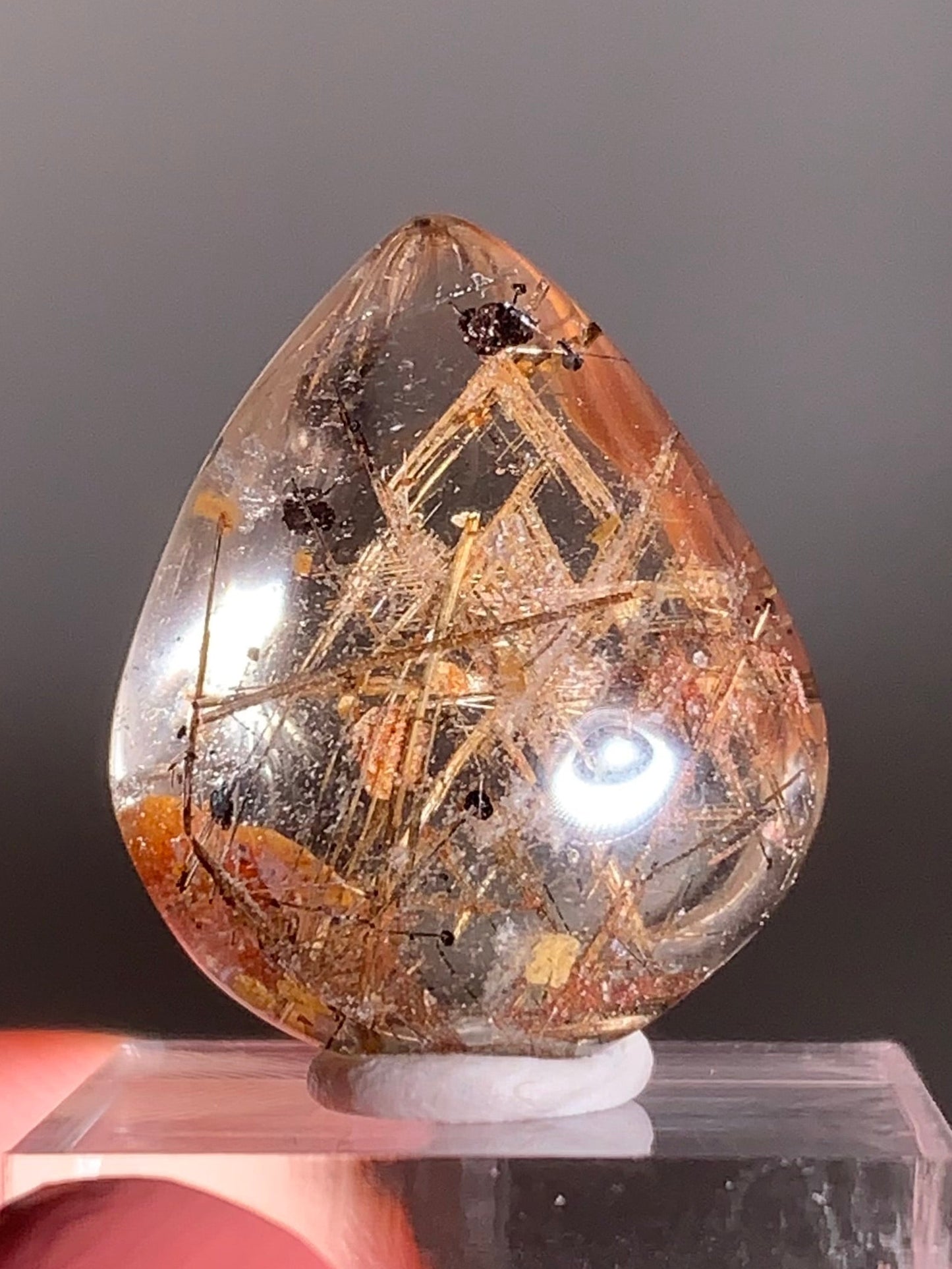Rare Lattice Gold Rutile with Shiny Hematite, Mica & Garden Quartz Polished Freeform From Brazil