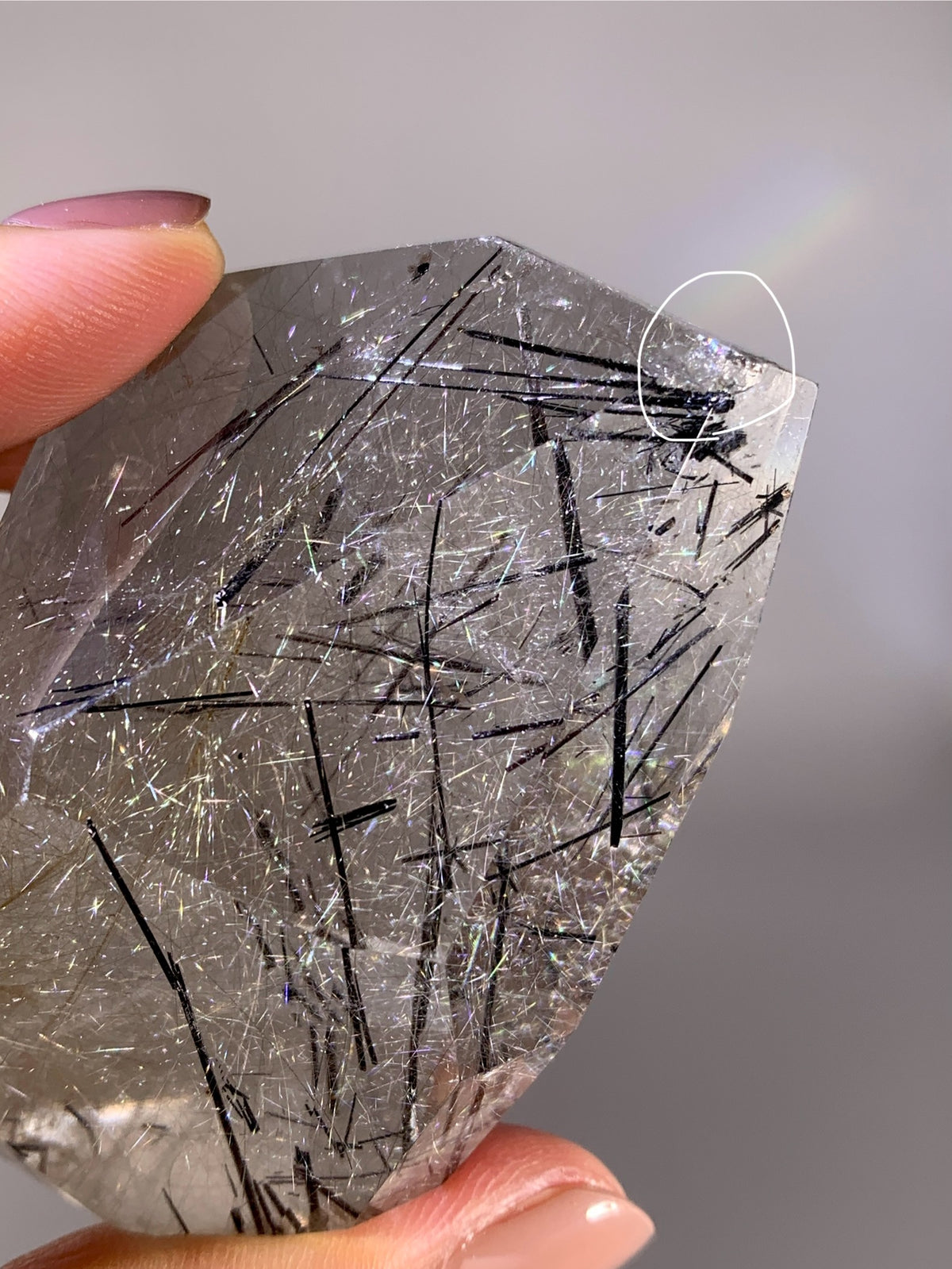 High-Quality Large Gold Shooting Star Rutile & Black Tourmaline in Clear Quartz Freeform | Brazil