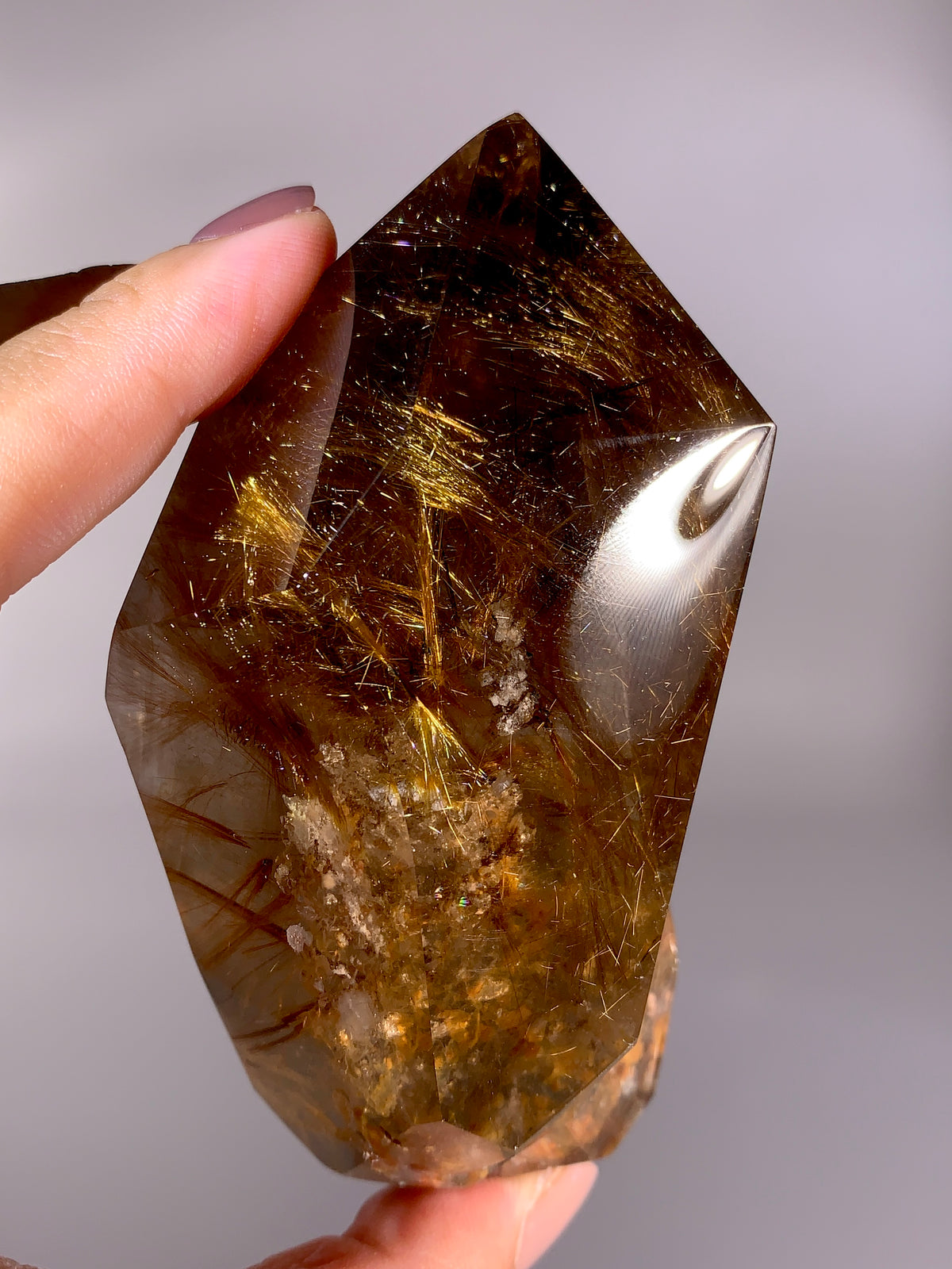 Collector’s Grade Large Shiny Gold Rutile in Smoky Quartz Point | Brazil